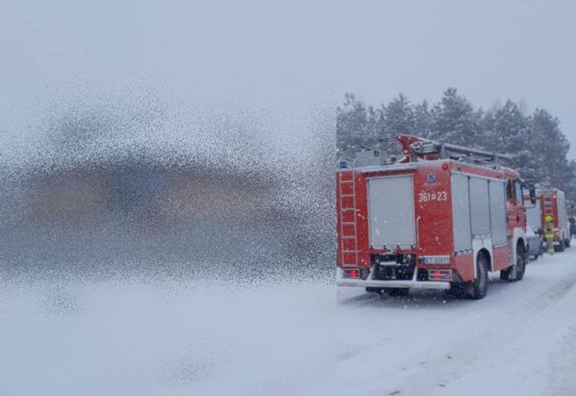 Na zdjęciu strażacy na miejscu wypadku w Radłowie