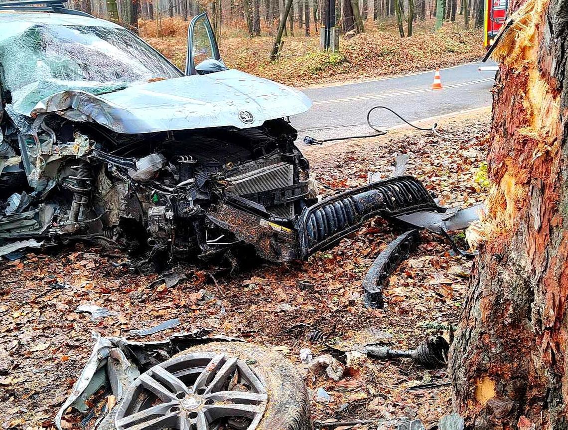Tenczynek, powiat krakowski, wypadek w Tenczynku, samochód osobowy uderzył w drzewo, akcja ratunkowa w Tenczynku, na sygnale