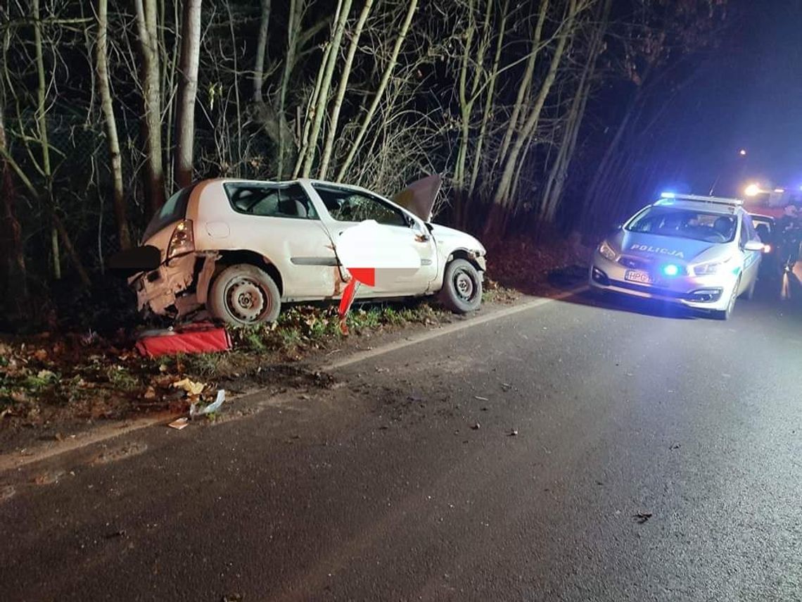 Samochód osobowy wypadł z drogi w miejscowości Minoga