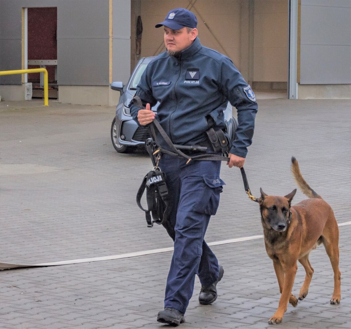 Senior zaginął w Lesie Bobrek. Uratował go pies Senior zaginął w Lesie Bobrek. Uratował go pies