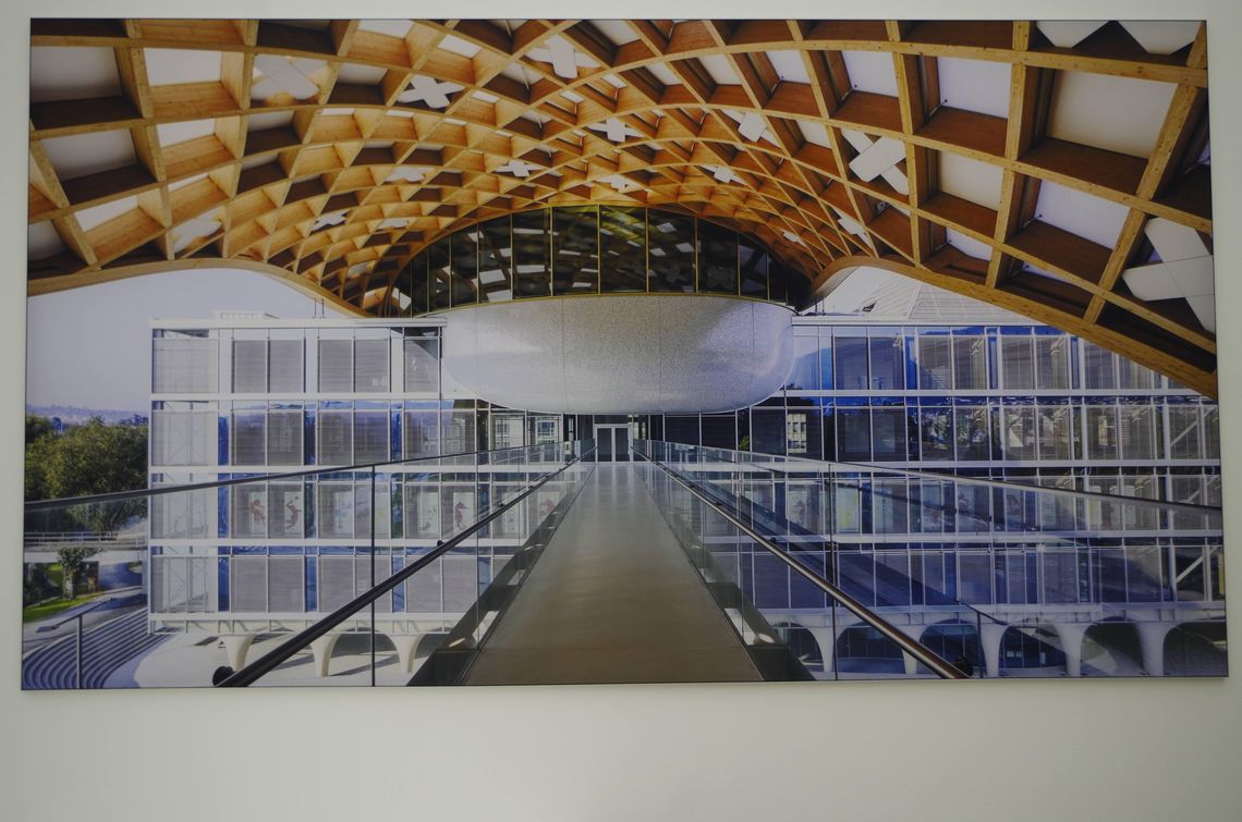 Shigeru Ban: Architektura i działania społeczne Shigeru Ban: Architektura i działania społeczne