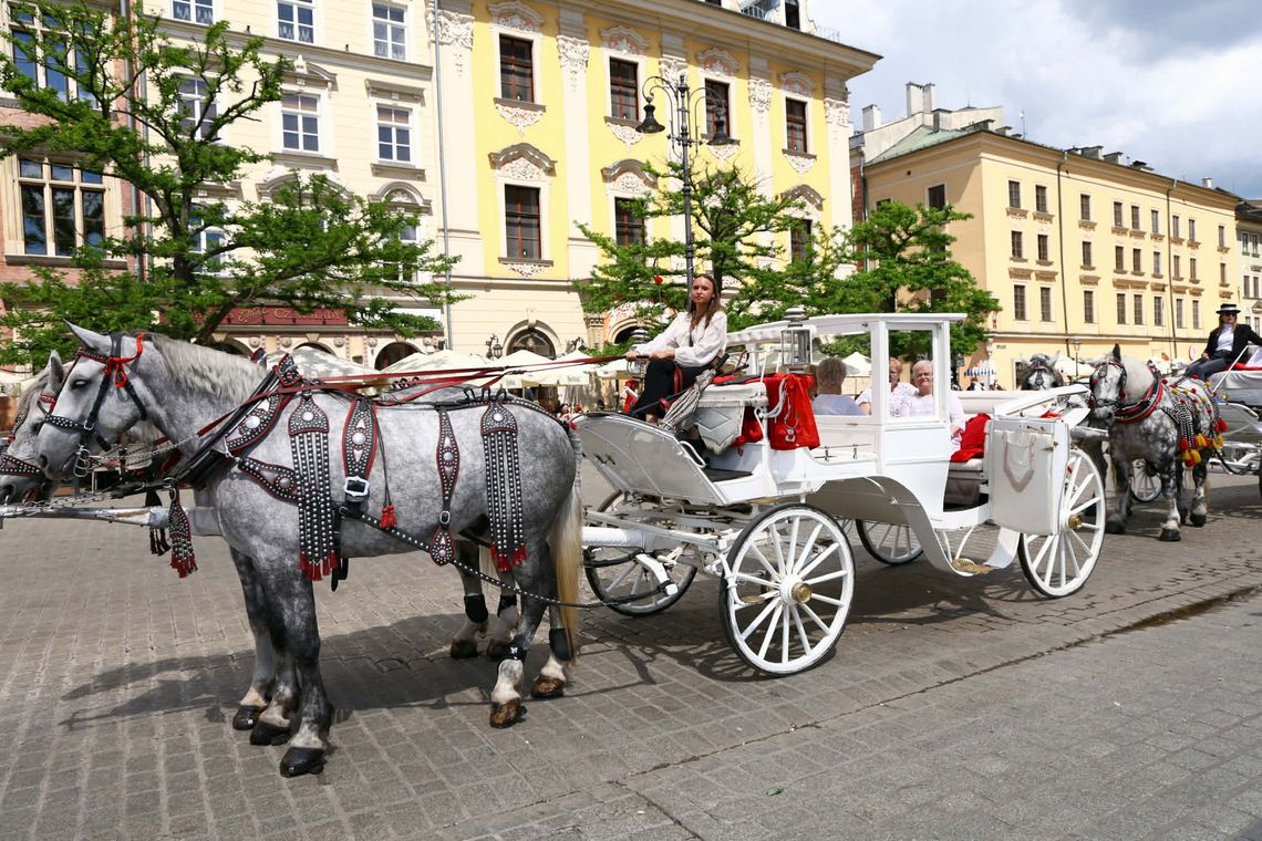 Siądą obok dorożek w końskich maskach. Nietypowy „strajk” w centrum Krakowa