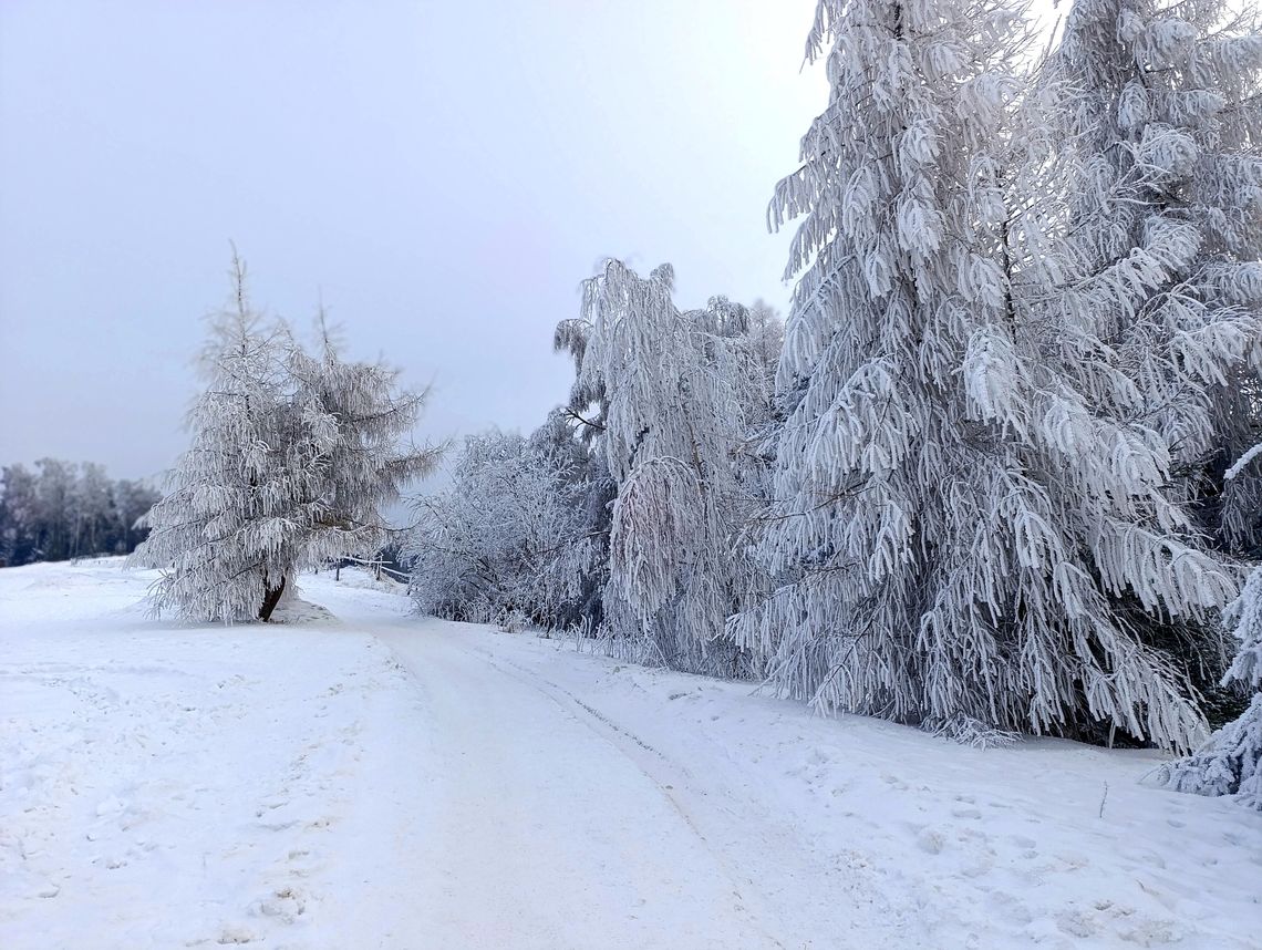 Siarczysty mróz uderza w Kraków i region. Temperatury spadną nawet do -19 stopni Celsjusza! Kraków, Małopolska, powiat krakowski, zima, duże mrozy, atak mrozów, bardzo niskie temperatury, uwaga na mrozy