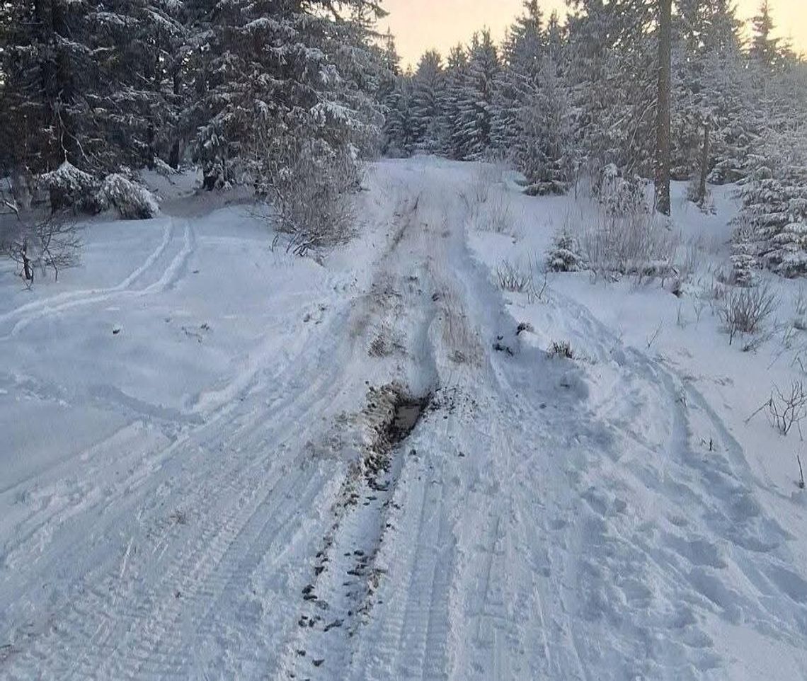 Skandal!!! Trasy narciarskie na Turbacz niszczone przez kierowców!!! [ZDJĘCIA]