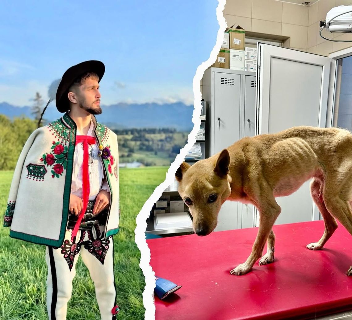 Zagłodzony pies, Podhale, Rabka-Zdrój, na sygnale, policja, Artur, góral z Szaflar