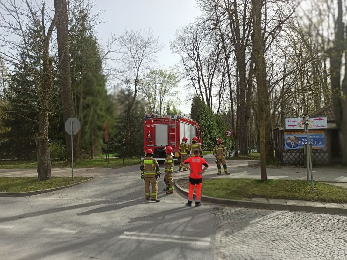 Rabka-Zdrój, tragedia w rabczańskim parku zdrojowym, Podhale, prokuratura, prokurator, skandaliczna decyzja prokuratury