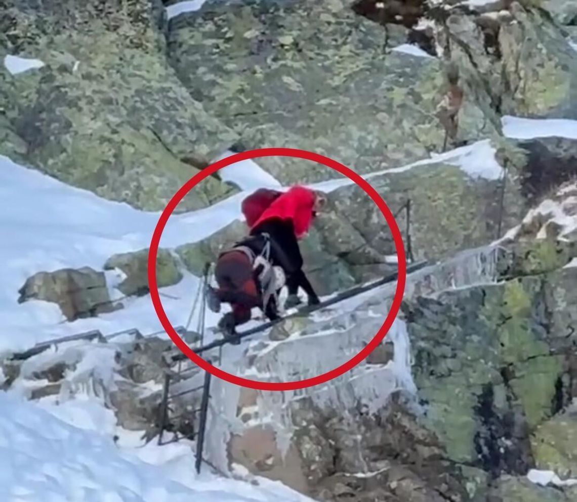 Tatry, Rysy, głupota turystów z Litwy, zabrali dziewięciomiesięczne dziecko na Rysy, Podhale, powiat tatrzański, tragedia, blisko tragedii w Tatrach