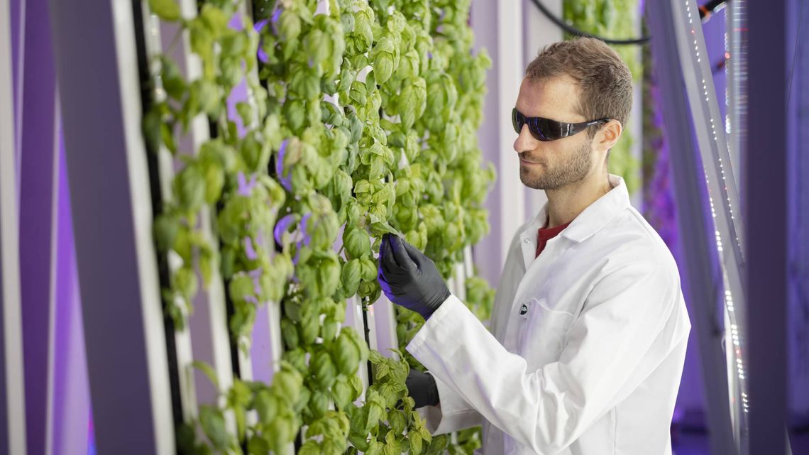 Smart Crop – nowoczesna uprawa roślin w samym centrum Krakowa