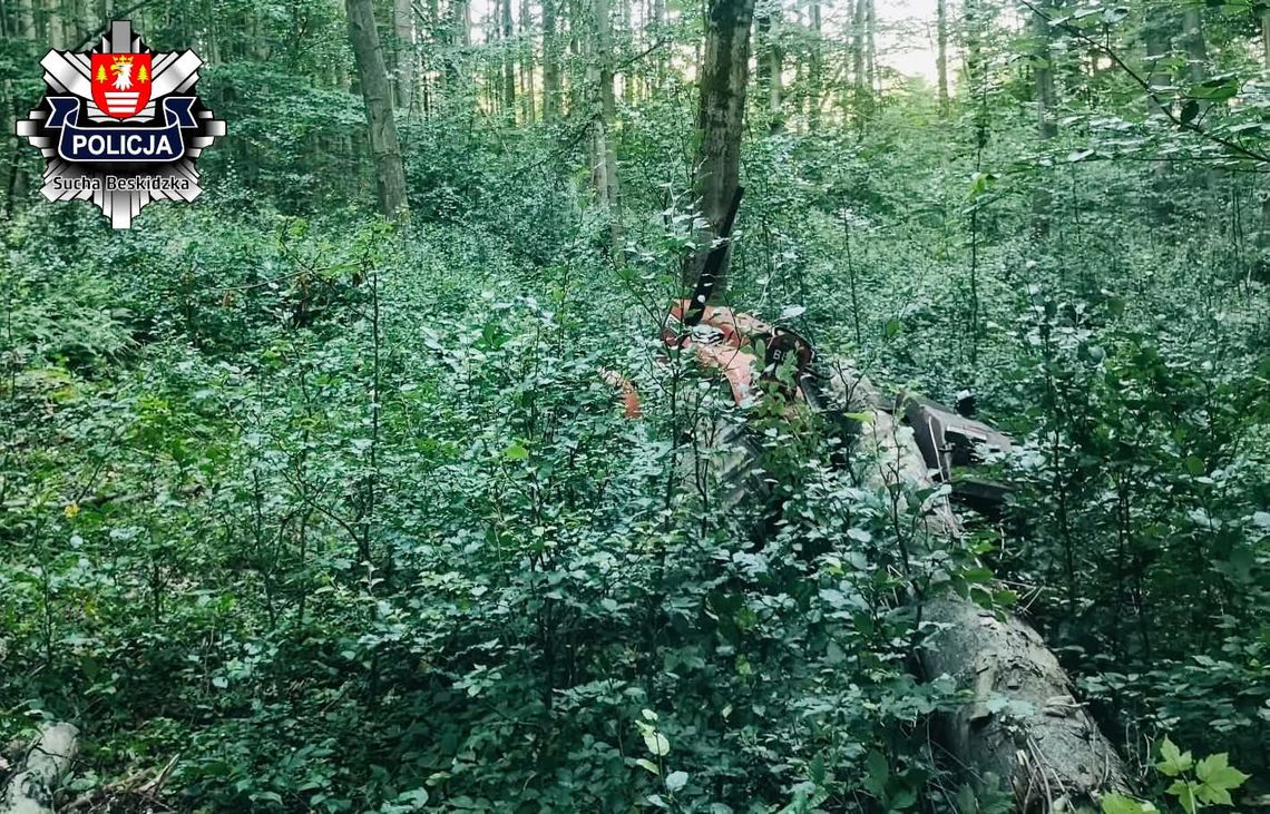 Wypadek w Lachowicach, Lachowice, śmiertelny wypadek podczas wycinki drzew, tragiczna śmierć 75-latka, śmiertelny wypadek