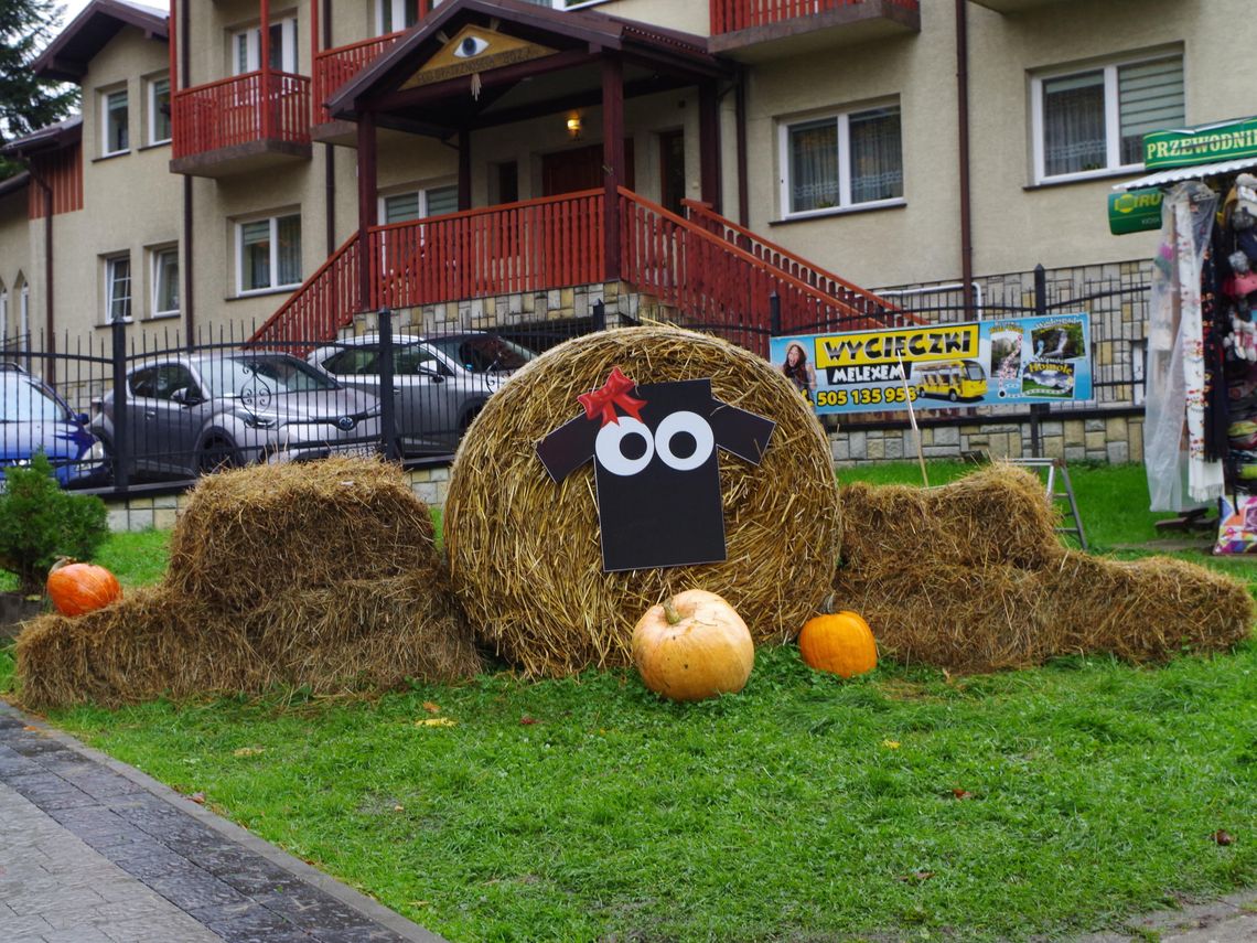 Szczawnica: Muzeum Pienińskie i redyk owiec
