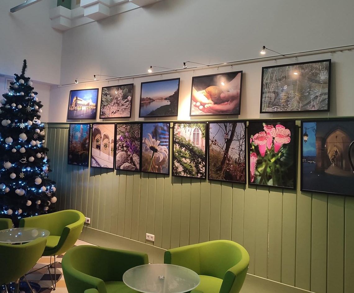 „Sztuka łączy małopolskich seniorów”. Wyjątkowa wystawa otwarta w rabczańskiej bibliotece [FOTO]