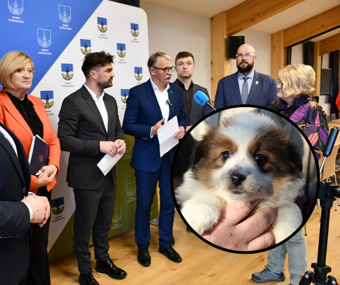 Nowy Targ, schronisko dla psów w Nowym Targu, Zakopane, konwent tatrzański, stanowisko samorządowców, samorządowcy murem za schroniskiem w nowym targu