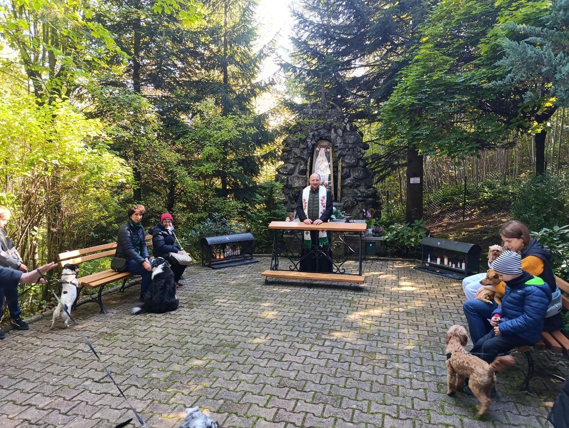 Rabka-Zdrój, parafia św. Teresy od Dzieciątka Jezus w Rabce-Zdroju, Światowy Dzień Zwierząt, 4 października, święcenie zwierząt, błogosławieństwo zwierząt