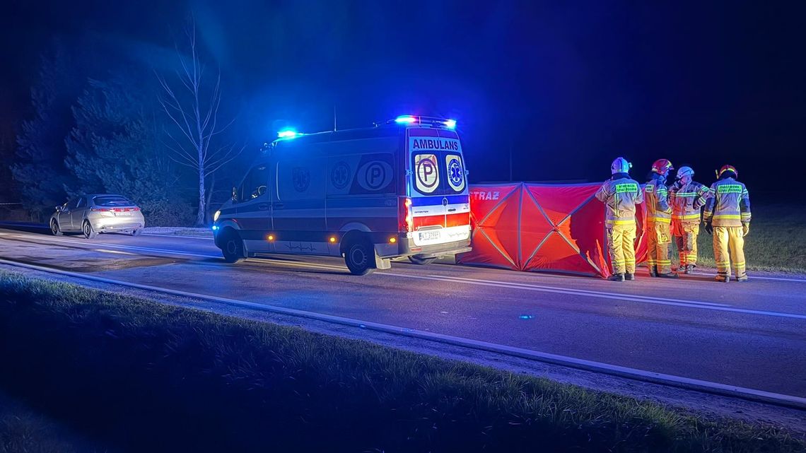 Tarnów, Dąbrowa Tarnowska, Breń, powiat tarnowski, na sygnale, wypadek drogowy, śmiertelne potrącenie pieszego, śmiertelny wypadek