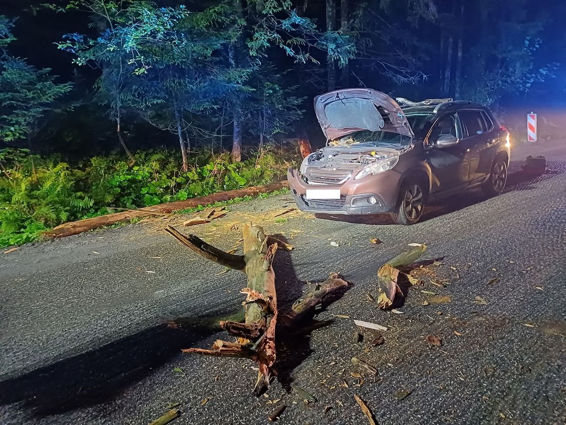 Murzasichle, wypadek w Murzasichlu, drzewo runęło na samochód, akcja ratunkowa na Podhalu, drzewo spadło na samochód, Podhale, powiat tatrzański