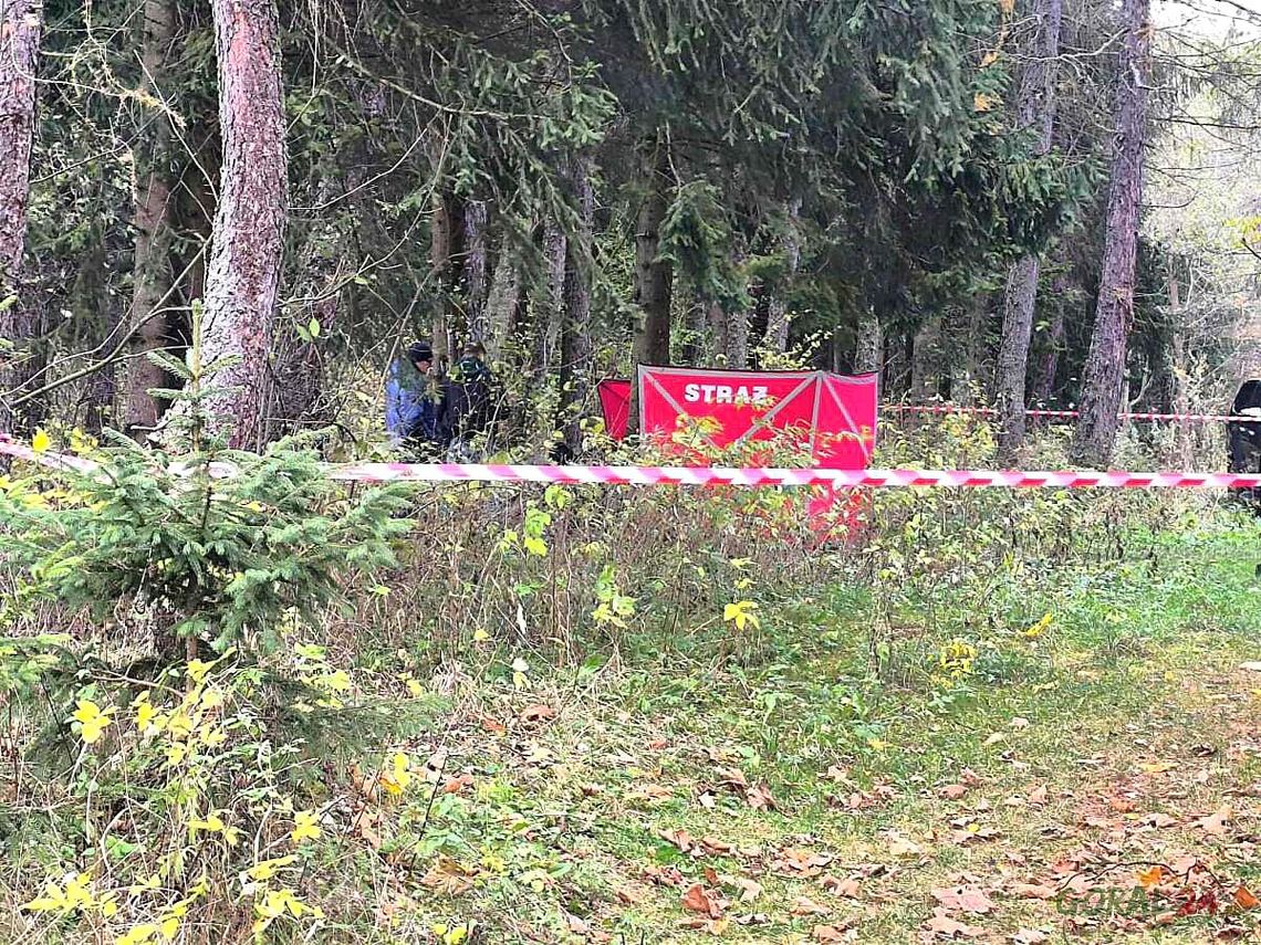 Tragiczne odkrycie w Nowej Białej. Ciało młodego mężczyzny znalezione w lesie Nowa Biała, makabryczne odkrycie w Nowej Białej, ciało młodego mężczyzny, makabryczne odkrycie na Podhalu, Podhale