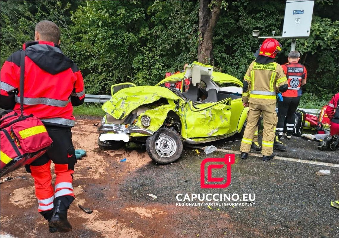 Witowice Dolne, powiat nowosądecki, sądecczyzna, tragiczny wypadek, śmiertelny wypadek, nie żyje 22-latka, 22-latka zginęła na miejscu