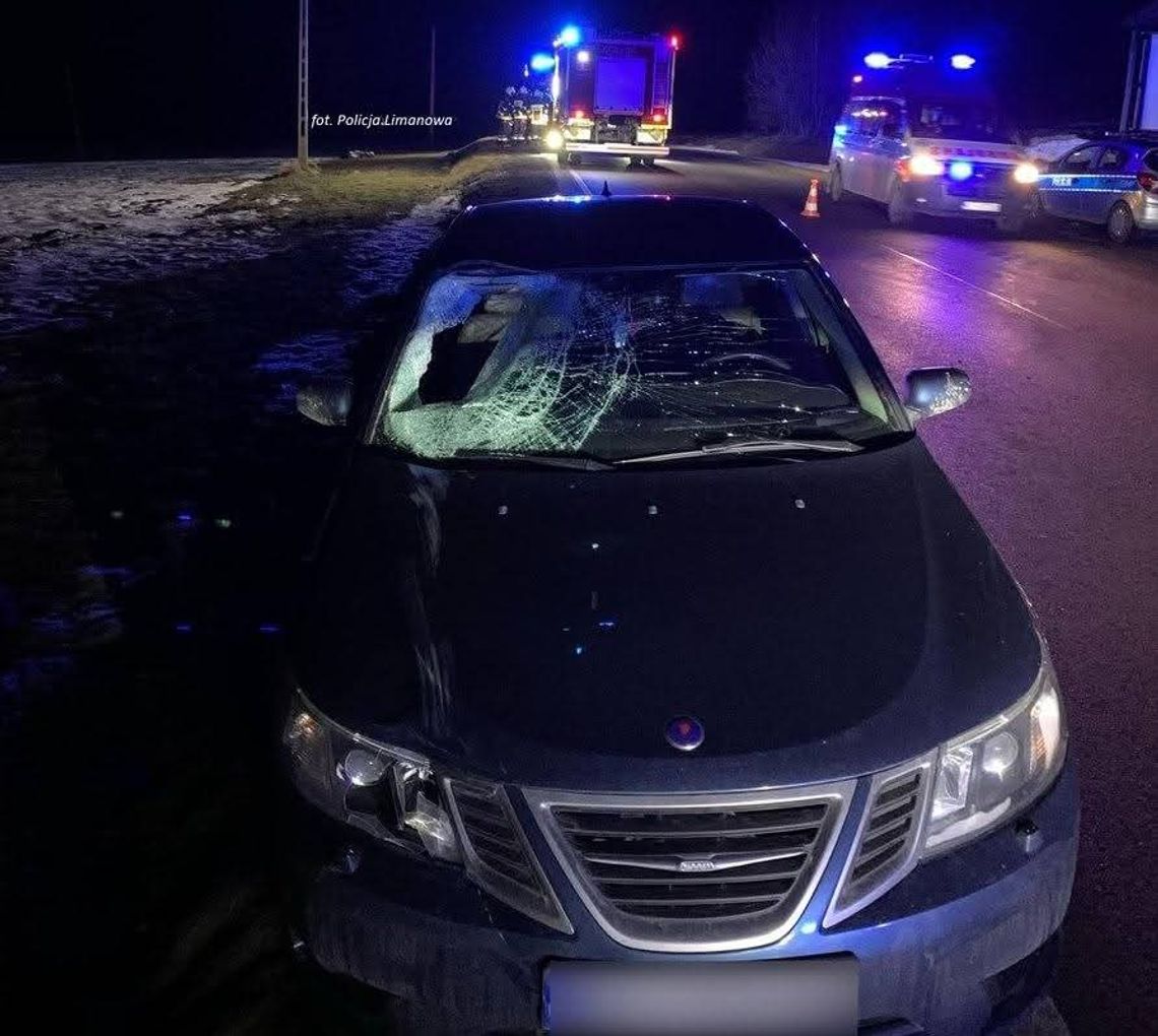 Tragiczny wypadek w Wilczycach. Pieszy zginął na nieoświetlonej drodze [FOTO]