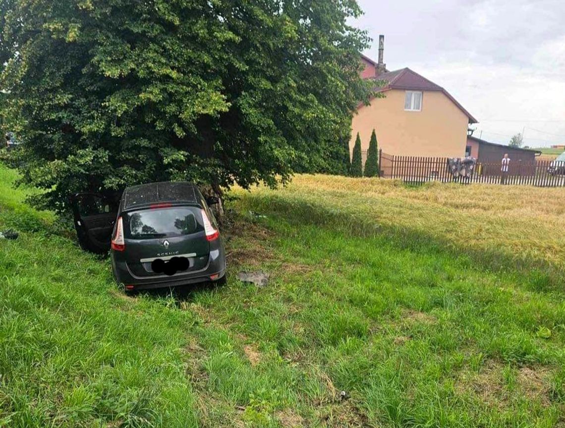 Na zdjęciu samochód osobowy, który uderzył w drzewo na terenie gminy Iwanowice