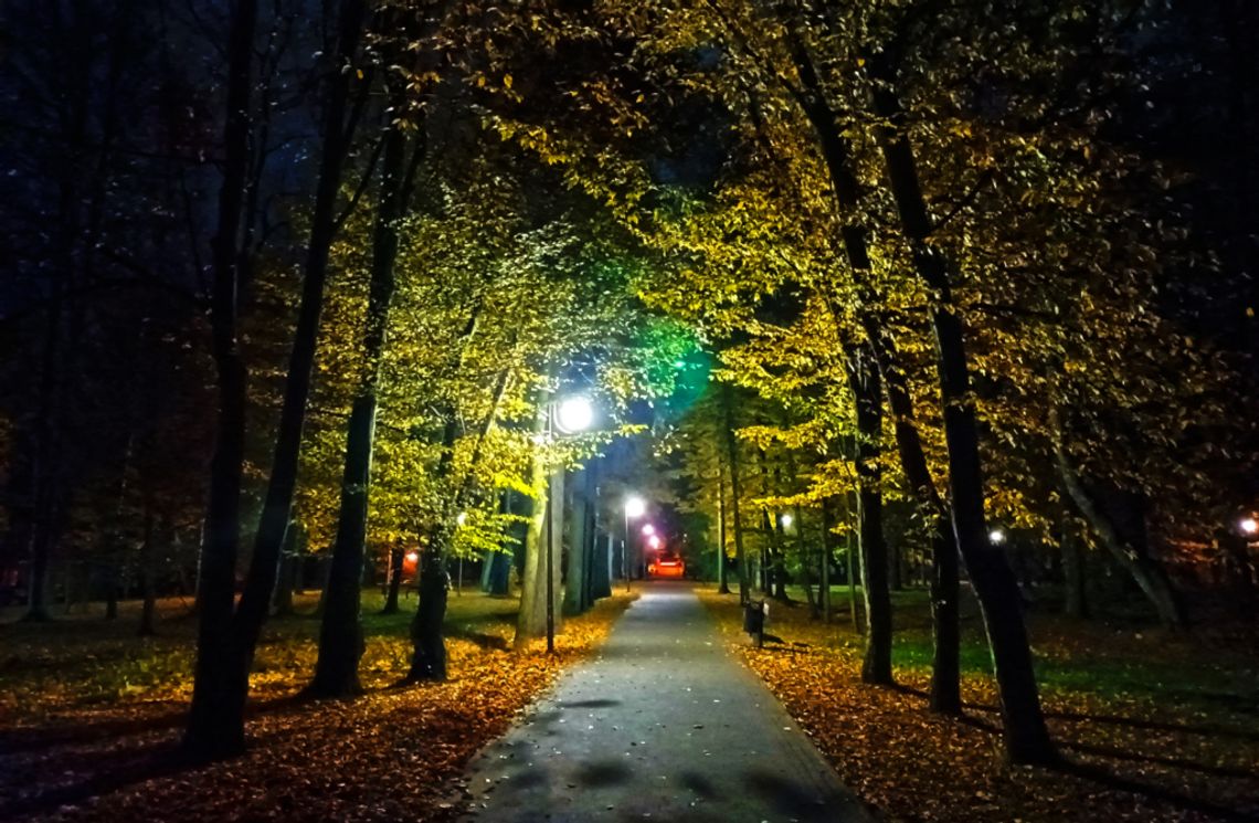 Na zdjęciu jedna z alejek rabczańskiego Parku Zdrojowego nocą