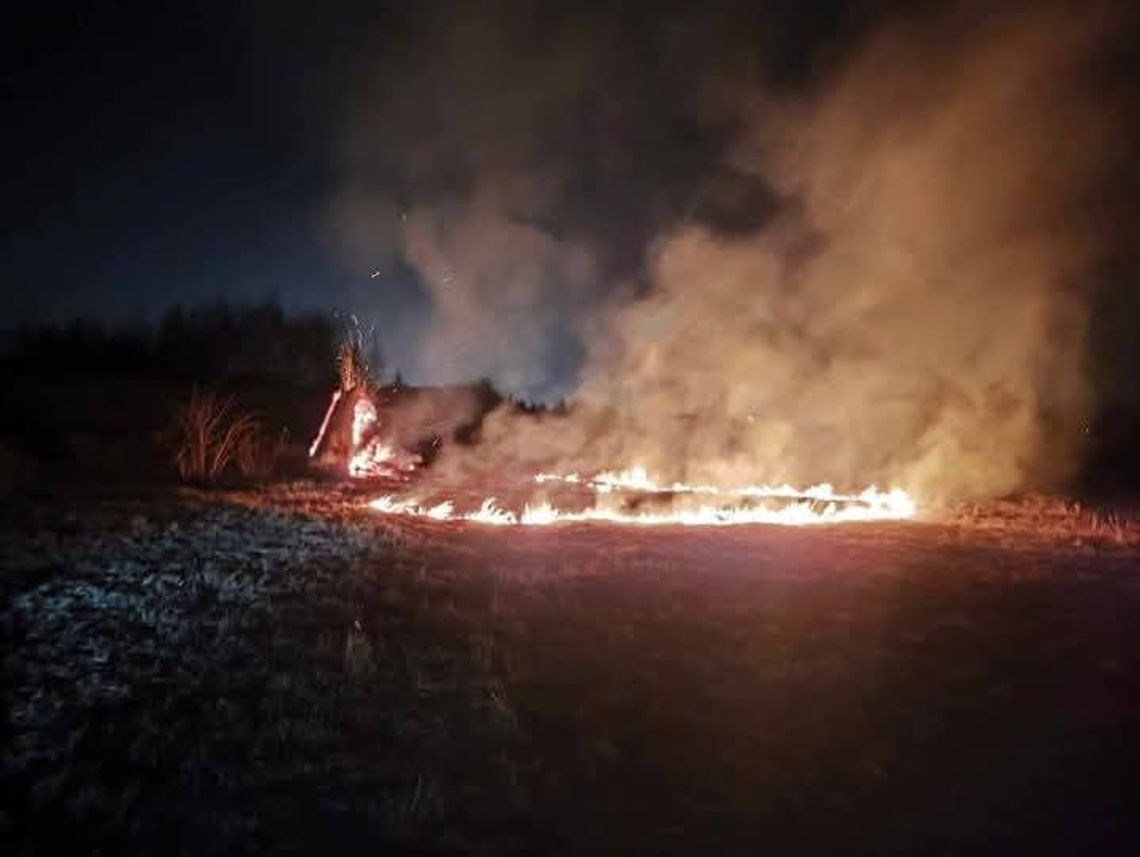 W miejscowości Grabie płonęły trawy oraz drzewo [ZDJĘCIA]