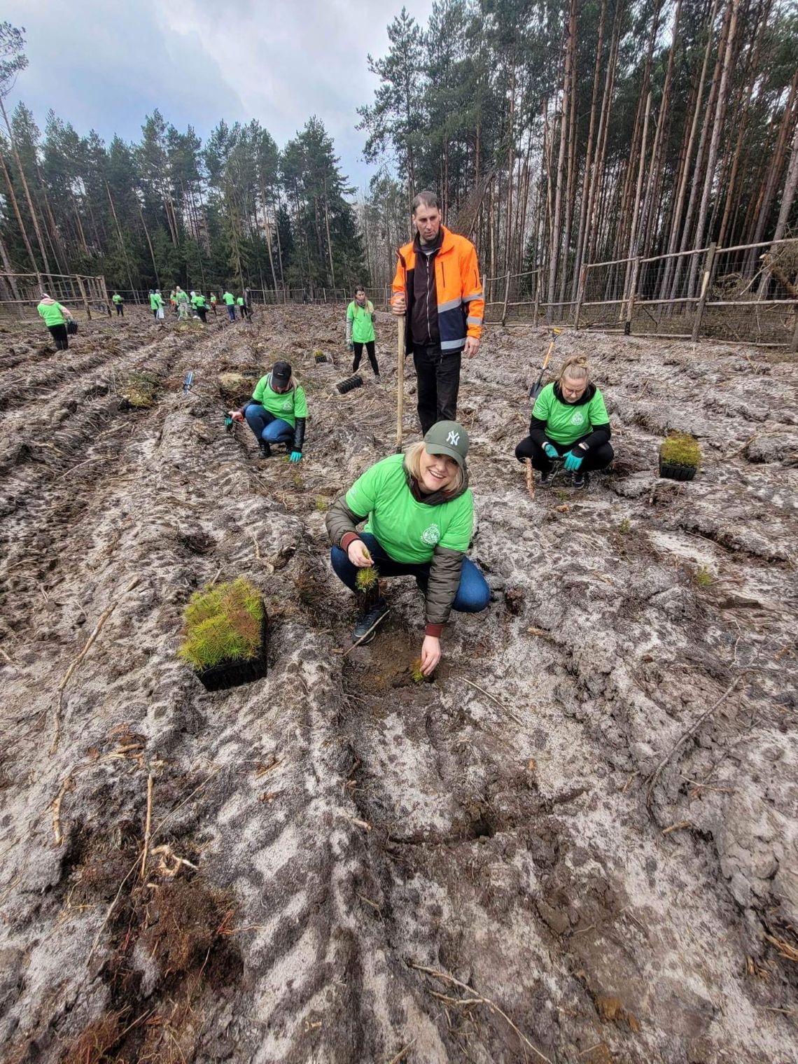 W ramach programu „Lasy Pełne Energii” PGE posadziła 110 tysięcy drzew