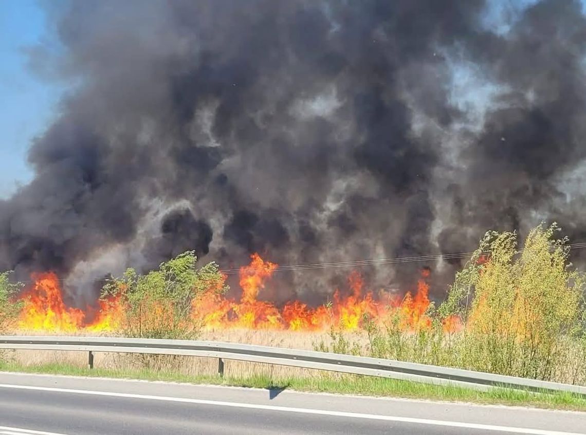 Proszowice, obwodnica Proszowic, pożar, poważny pożar, pożar w rejonie obwodnicy Proszowic, akcja gaśnicza, straż pożarna, zastępy straży pożarnej