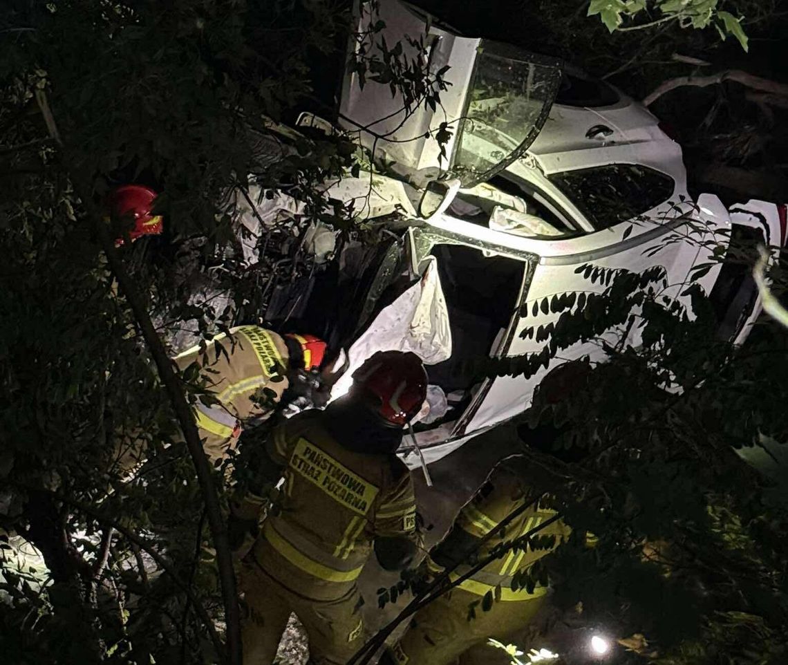 Wypadek w Krakowie, wypadek na ulicy Dąbskiej w Krakowie, samochód wpadł do rzeki, wypadek w Krakowie, akcja ratunkowa, akcja ratownicza, na sygnale