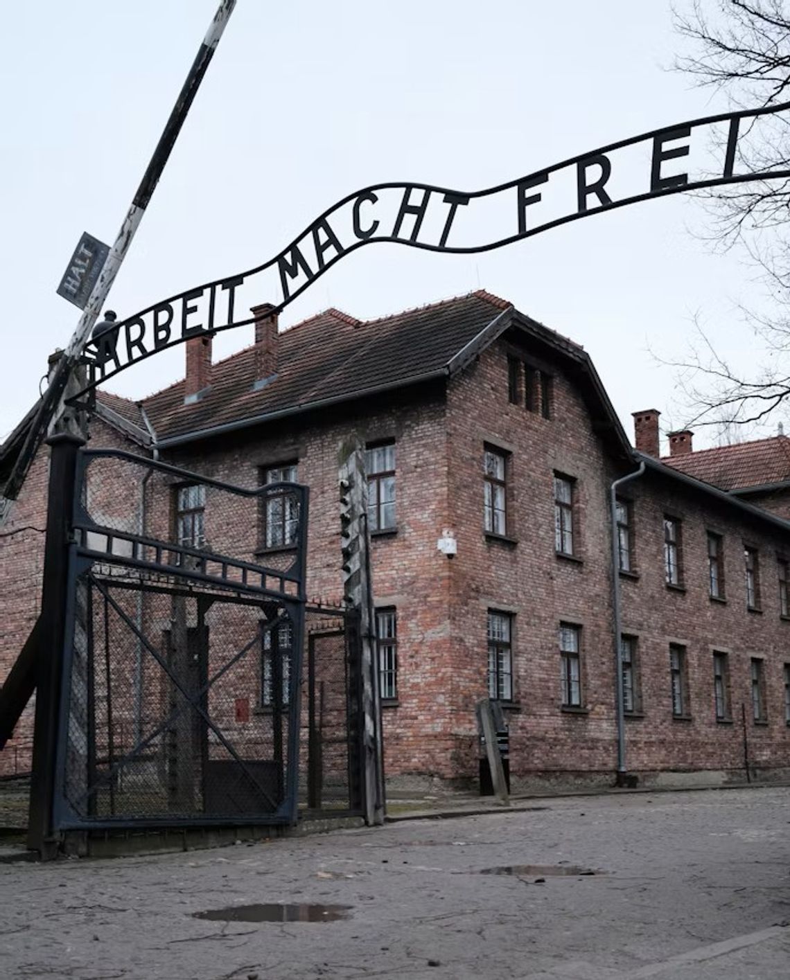 „Żartobliwe” zdjęcie skutkowało zarzutem. Litwin zatrzymany za propagowanie nazizmu w Auschwitz „Żartobliwe” zdjęcie skutkowało zarzutem. Litwin zatrzymany za propagowanie nazizmu w Auschwitz
