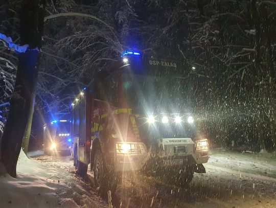 Tenczynek. Samochód dostawczy uderzył w powalone drzewo