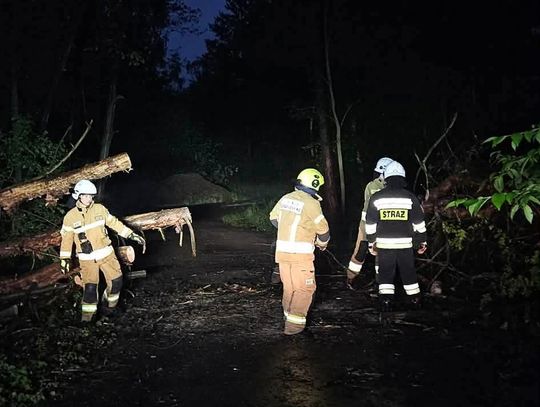 Kolizja w Wierzbicy i zablokowana droga w Brodłach. Pracowity wieczór służb