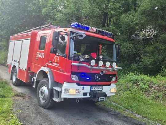 Tragedia na linii kolejowej nr 98. Śmiertelne potrącenie między Osielcem, a Jordanowem