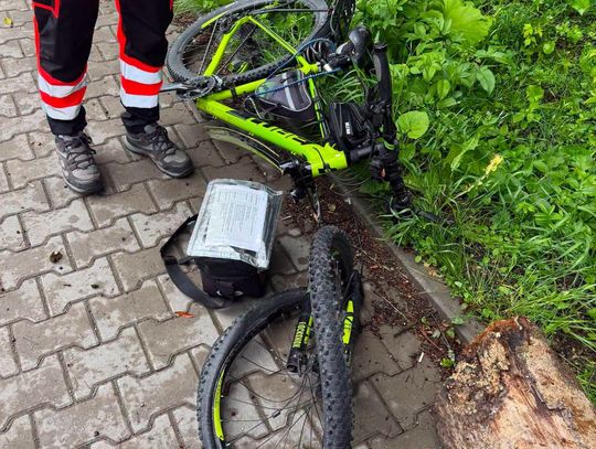 Drzewo przewróciło się na DK49 w Białce Tatrzańskiej. Ucierpieli rowerzyści