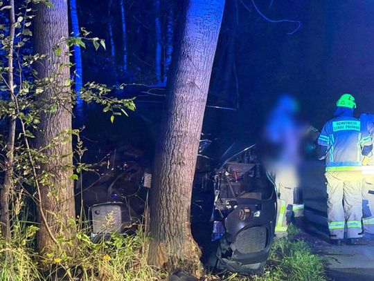 Auto uderzyło w drzewo na granicy Małopolski i Śląska. Droga jest zablokowana