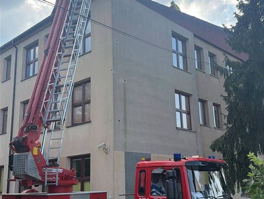 Nawałnica w Małopolsce. Wiatr zerwał dach szkoły w Lubniu, drzewa blokowały drogi