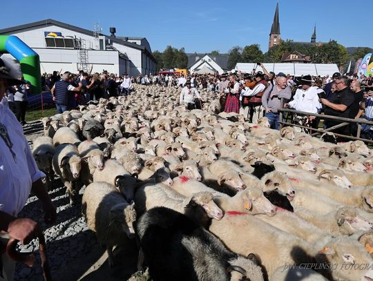 Redyk w Rabce-Zdroju przyciągnął tysiące turystów. Fenomenalna promocja miasta