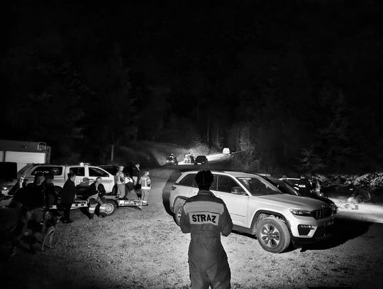 Pojechał na grzyby i zaginął. Tragiczny finał grzybobrania w Męcinie Wielkiej