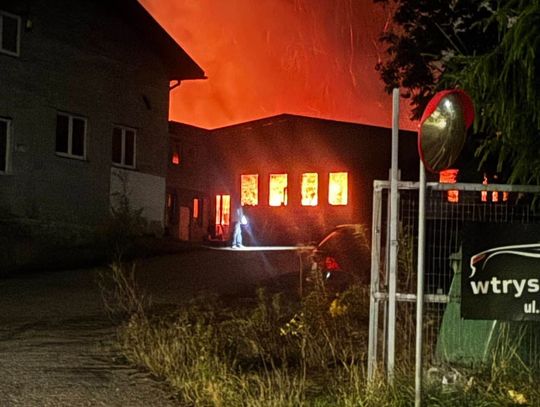 Poranny pożar tartaku w Bolesławiu. Do akcji ruszyło 8 zastępów straży pożarnej