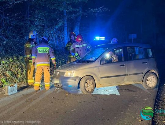 Fiat w rowie w Rychwałdzie. W samochodzie znaleziono pijanego mężczyznę